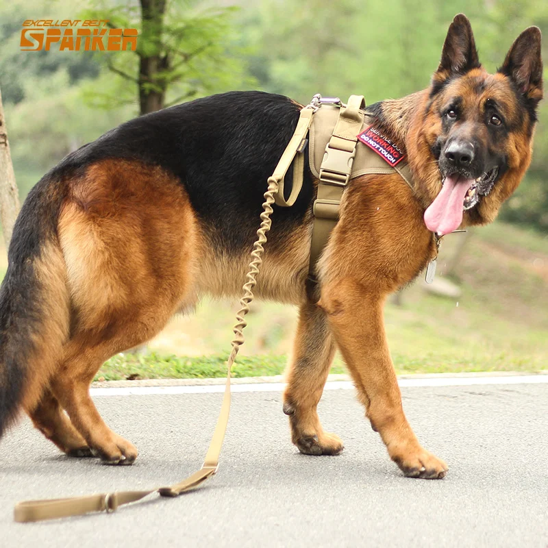 

Medium-sized dog chest strap spring and summer K9 dog clothes vest-type +Traction dog rope Golden-haired pet