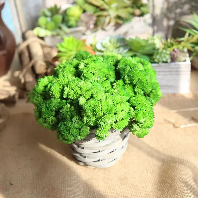 Искусственные цветы искусственный мягкий клей рисовые фрукты свадебные