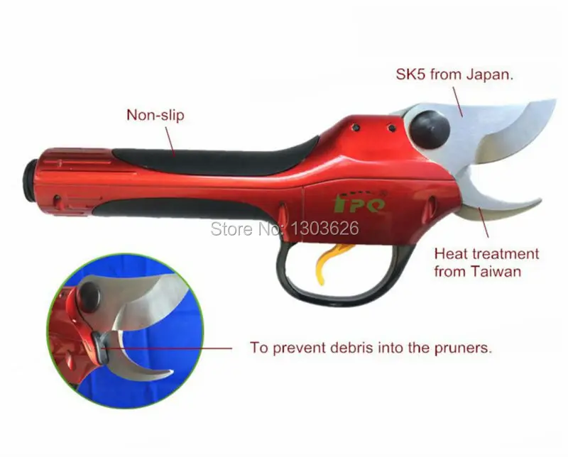 WS P-1 NO 16_