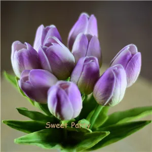 19 LT lilac