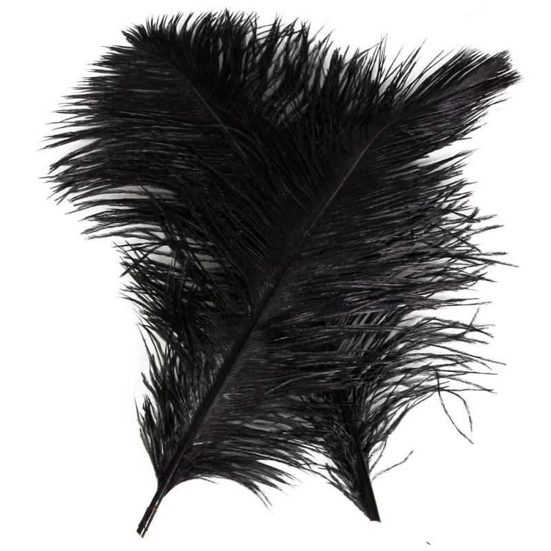 10pcs-1358-Ostrich-Feather-Black_2_800x800