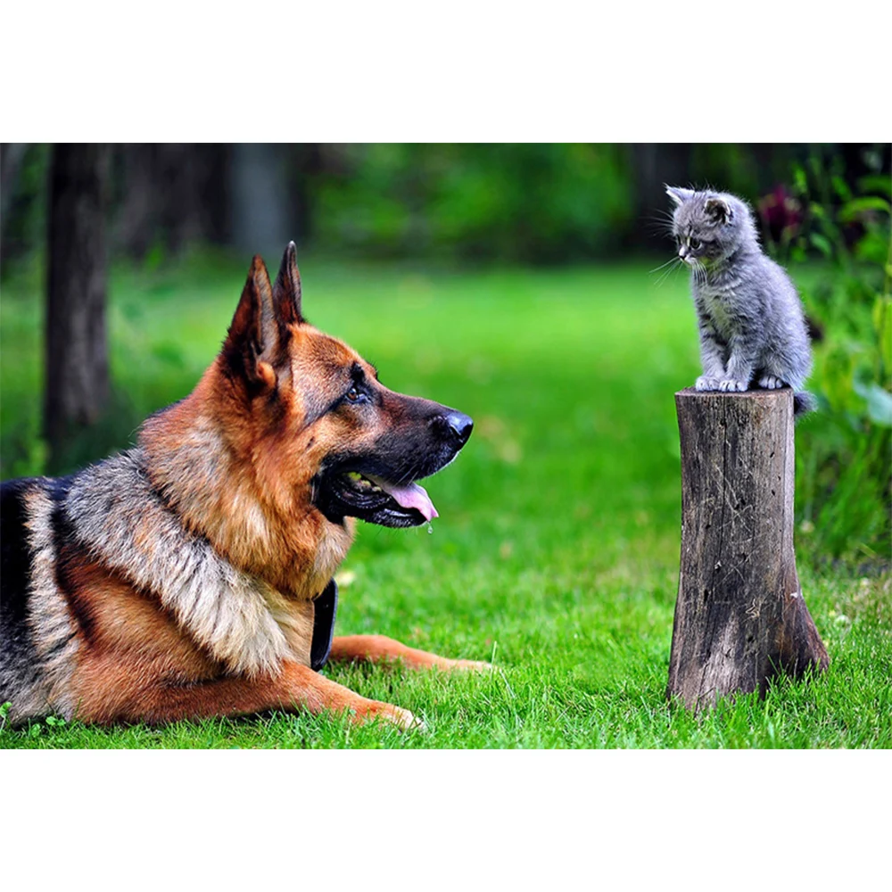 

Li Loye DIY Round Full Mosaic Icon Diamond Embroidery Cat Dog Rhinestones diamond Painting Cross Stitch Kits Home Decor AA112