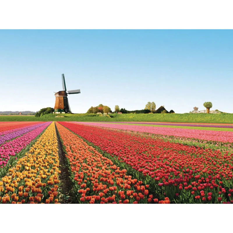 

Full square/Round drill Diamond embroidery Flower field 5D DIY diamond Painting Cross Stitch Rhinestone Mosaic decor