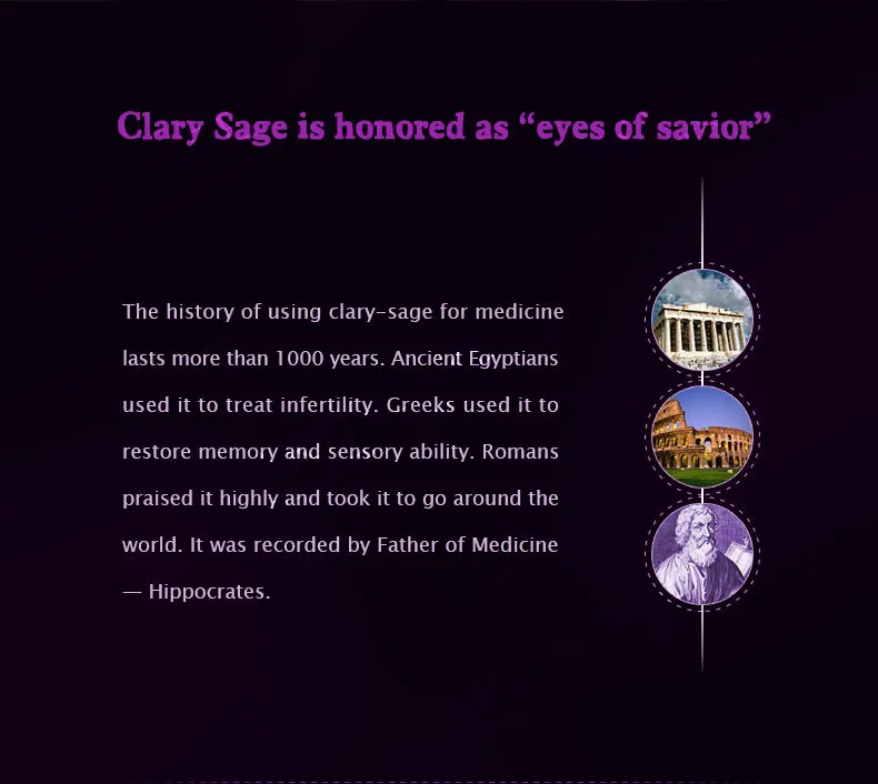 clary sage-2