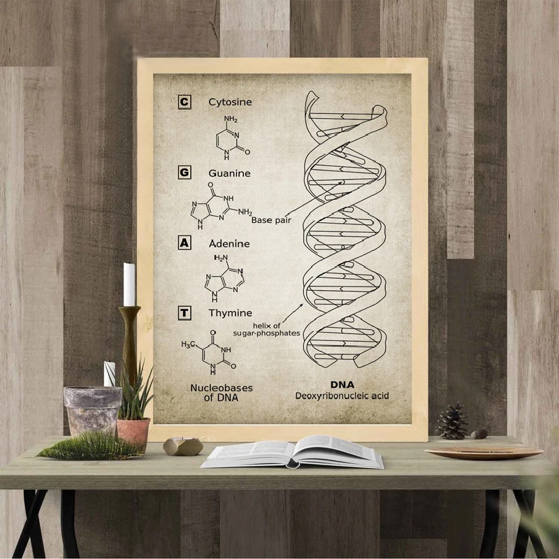 G Dna Art Print Home Decor Wall Art Poster