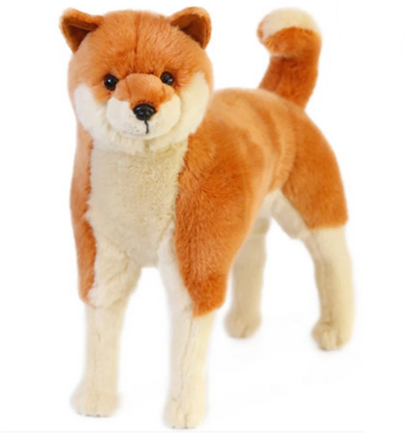 puppy dog5