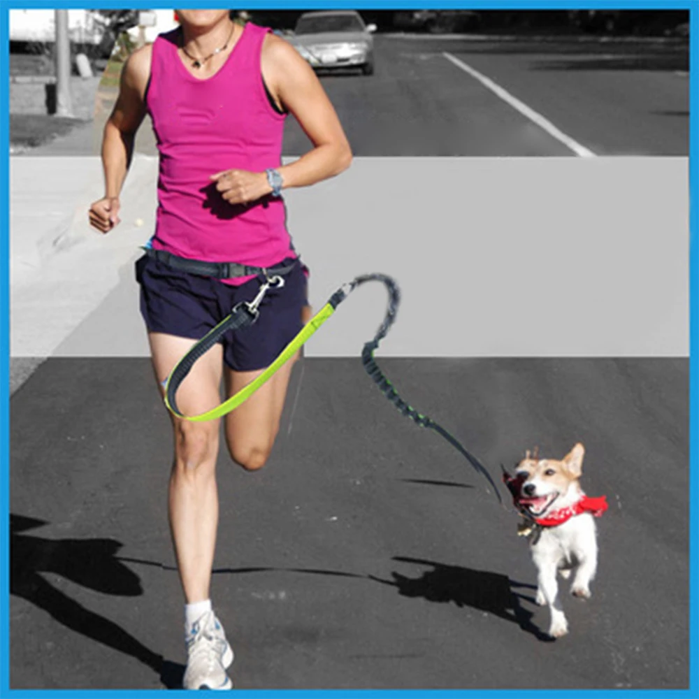 

Elastic Nylon Leashes Running Hand Free Waist Belt Jogging Leads for Pet buckled rope Leash