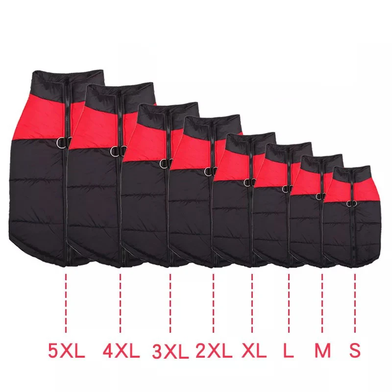 AA1