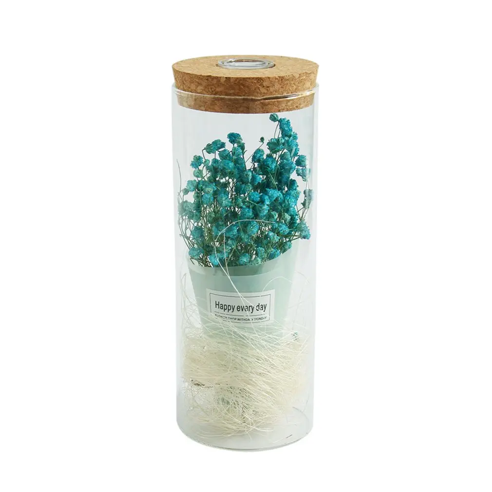 ICOCO Романтический светодиодный светильник с сушеным цветком орнамент микро Ландшафтный Террариум печать ваза для цветов Декор интерьера