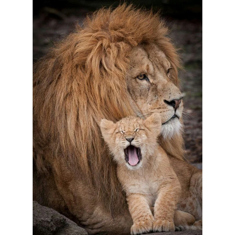 Full SquareRound Drill 5D DIY Diamond Painting Two lions 3D  Embroidery Cross Stitch Mosaic Home Decor