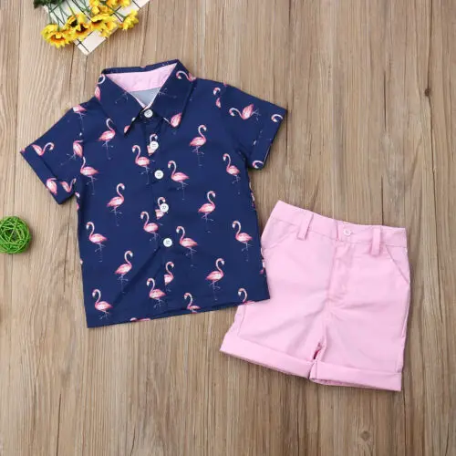 

Summer Fashion Cute 2PCS Set Toddler Kid Baby Boy Short Sleeve Animal Print Flamingo Tops T-shirt+Shorts Pants Outfits Clothes