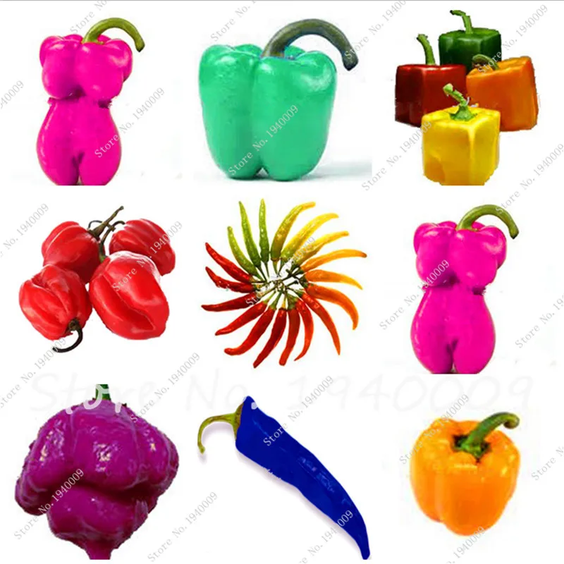 

50 pcs pepper chili seeds vegetable Fresh Seeds, multi color Vegetable Plant Easy Growing Paprika Chili Seeds DIY Home Garden