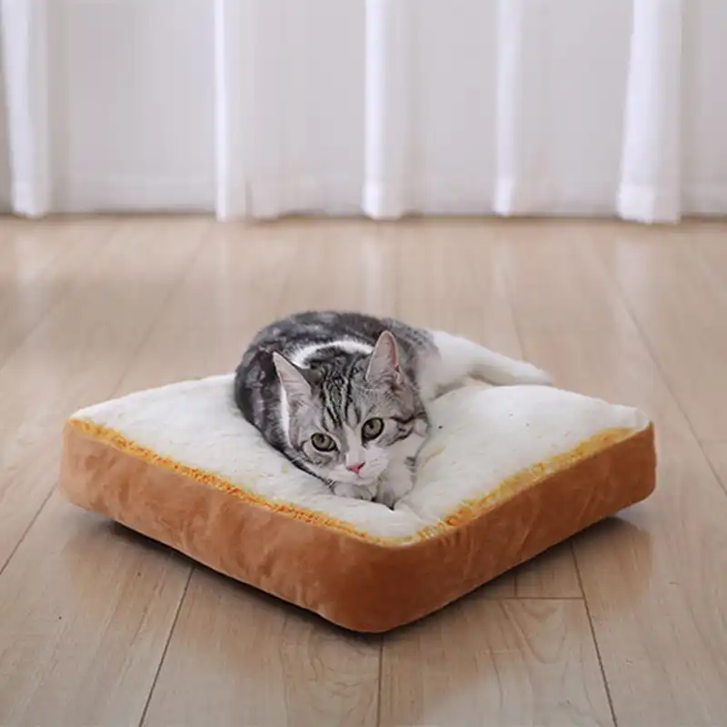 toast cat bed
