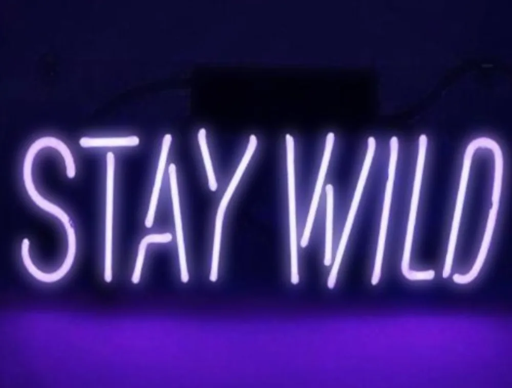 

Custom Stay Wild Glass Neon Light Sign Beer Bar