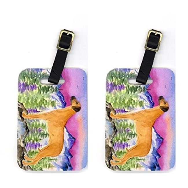 Carolines Treasures SS8327BT Pair of 2 Rhodesian Ridgeback Luggage Tags
