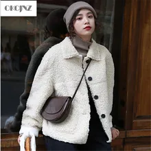 Новинка года; сезон осень-зима с лацканами плюшевое пальто-Барашек Куртка женские короткие модные Повседневное Свободная верхняя одежда сплошной цвет Женская куртка-парка YY191