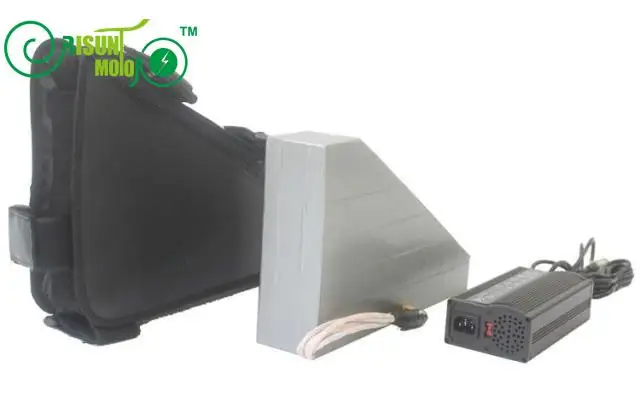 48V 31 5AH Triangle Ebike Battery With 3 7V Cell With Free BMS 5A Fast Charger