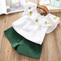 Hurave-New-baby-Girl-clothes-Children-Summer-fly-sleeve-embroidery-solid-blouses-shorts-sets-Kids-Clothes.jpg_200x200