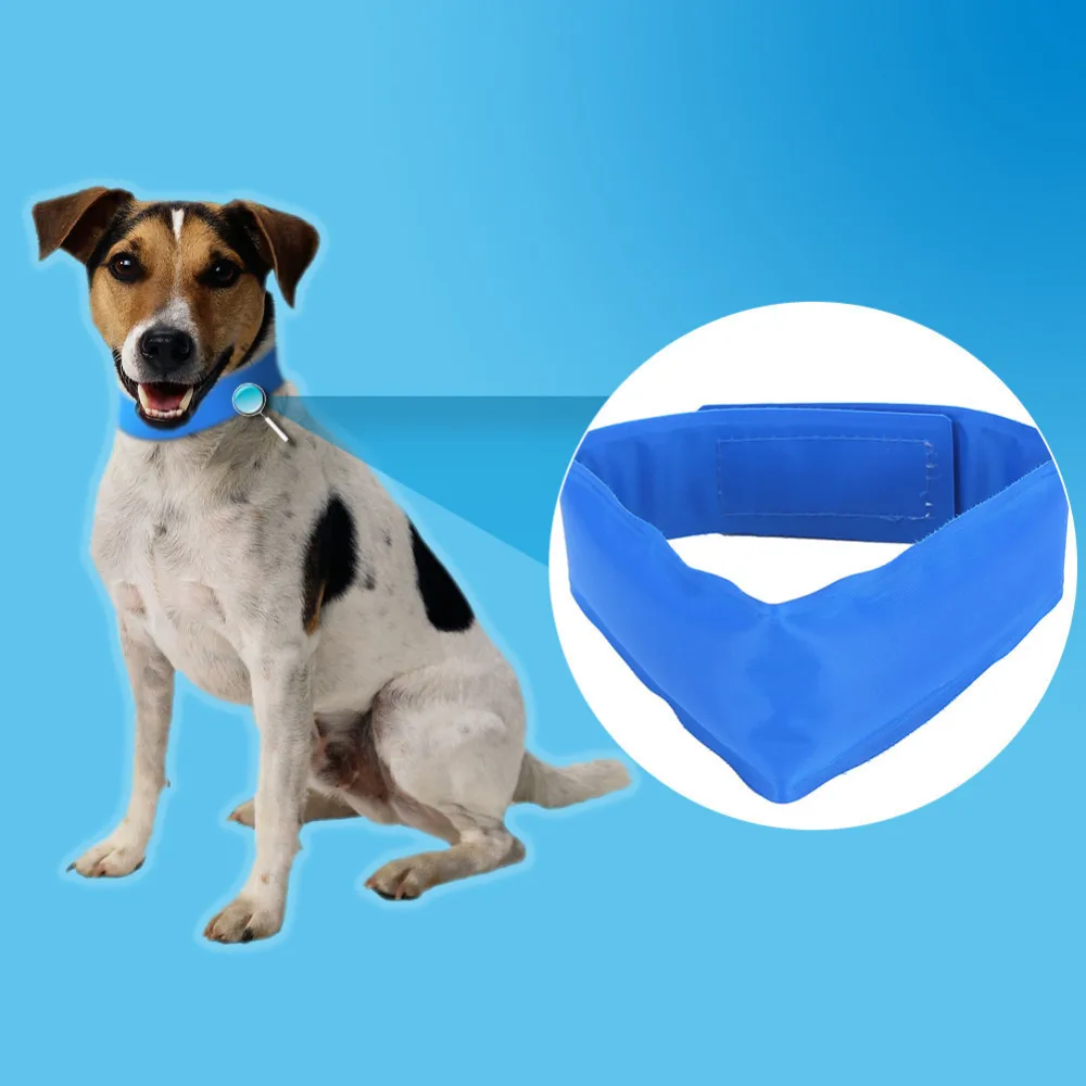 Buy Wholesale Dog Cooling Collars Safe Gel leash Pet