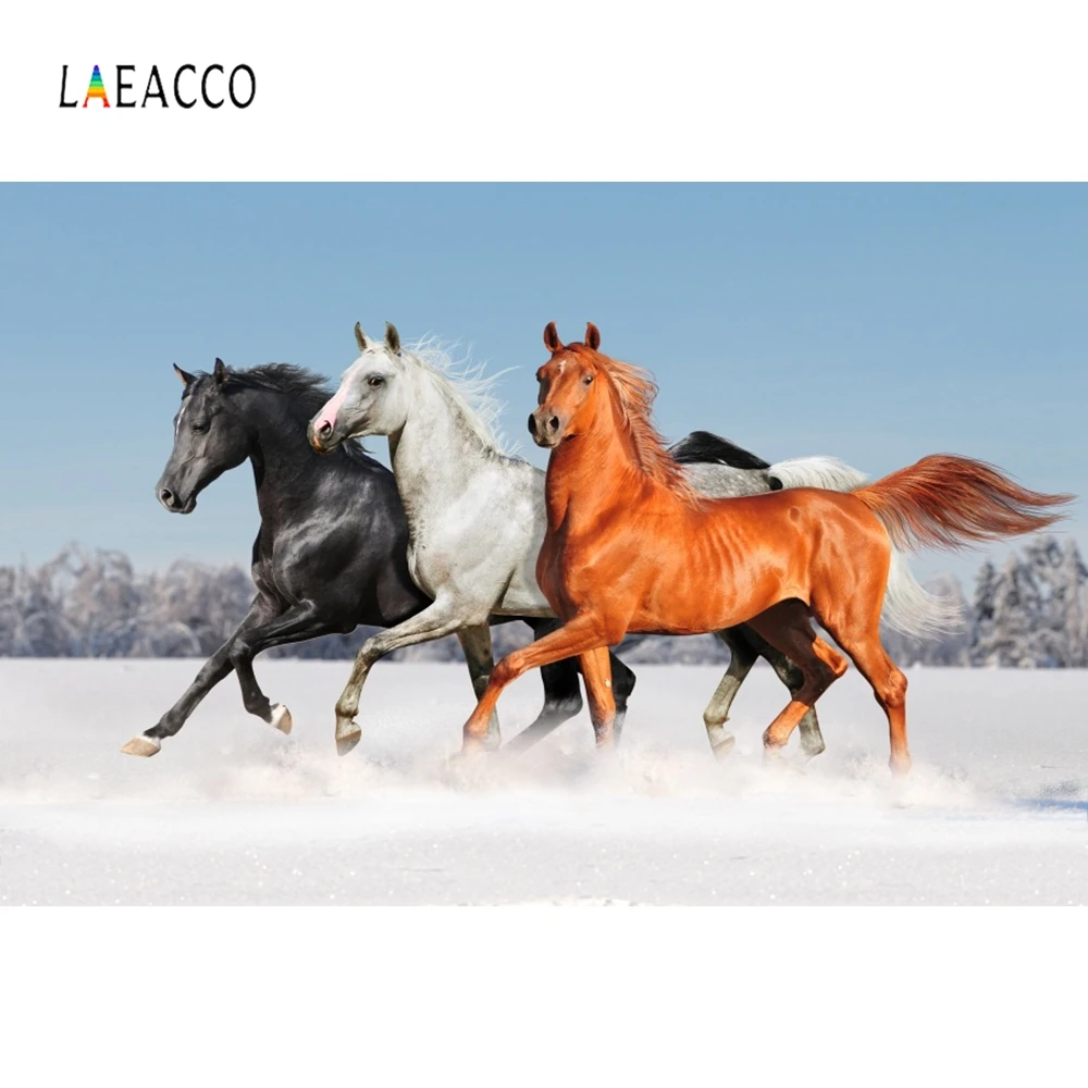 Laeacco الخيول مسرعة مزارع سباق جدار التصوير الخلفيات التصوير التخصيص تخصيص خلفية ل استوديو الصور Laeacco الخيول مسرعة مزارع سباق جدار التصوير الخلفيات التصوير التخصيص تخصيص خلفية ل استوديو الصور
