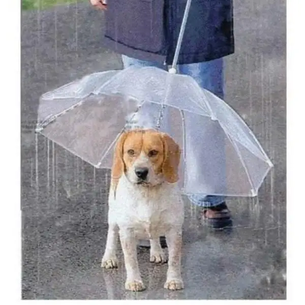 

Transparent Umbrella with Leash for Outdoor Pet Small Dogs Puppy Raincoat