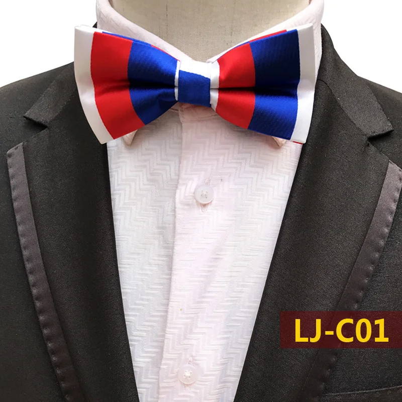 LJ-C01 Мужской фиолетовый клетчатый галстук жениха, мужской галстук-бабочка, свадебные галстуки-бабочки - Цвет: LJ-C01