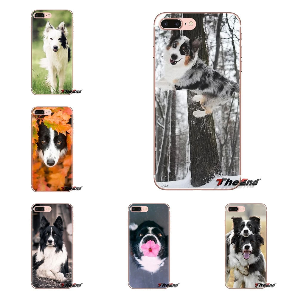 For Samsung Galaxy J1 J2 J3 J4 J5 J6 J7 J8 Plus 2018 Prime 2015 2016 2017 Border Collie Dog Breed Soft Transparent Cases Covers |
