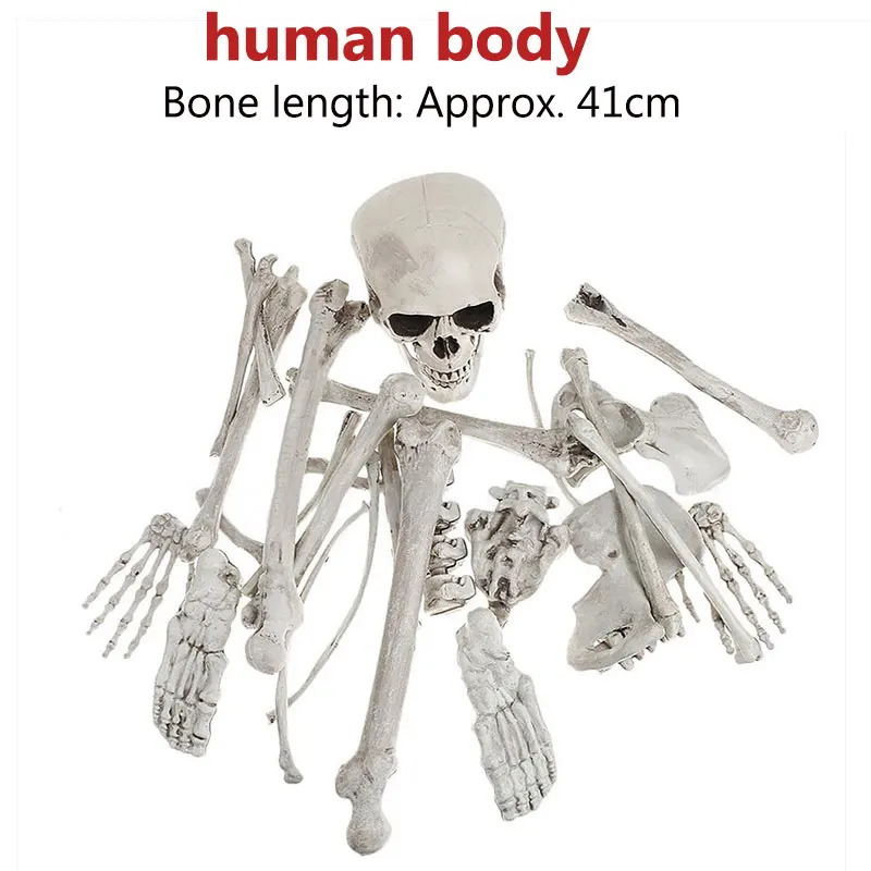 Cosplay&ware Halloween Decoration Bone Animals Skeleton Ornaments Batspiderdragonbird Bones Hallowmas Horror Party -Cosplayware Store