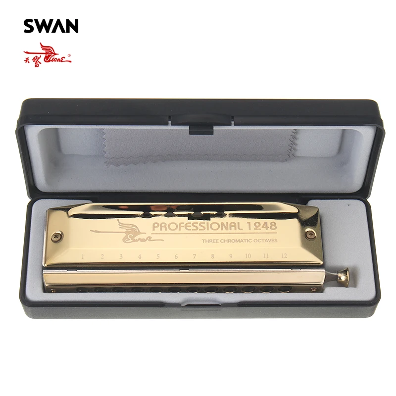 

12 Holes 48 Tones Chromatic Gold Color Laser Proceeded Board Harmonica Music Musical Instrument Teaching Performing Accessory