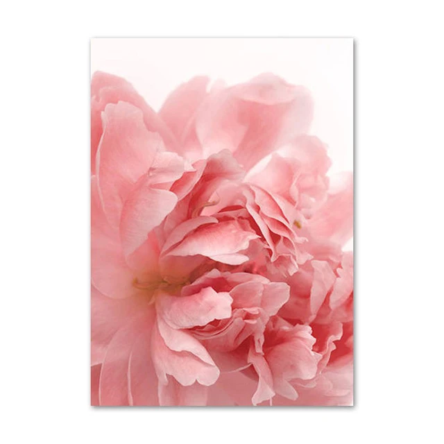 Розовая Роза Пион Хризантема кактус настенная живопись на холсте скандинавские плакаты и принты настенные картины для гостиной без рамы - Цвет: B