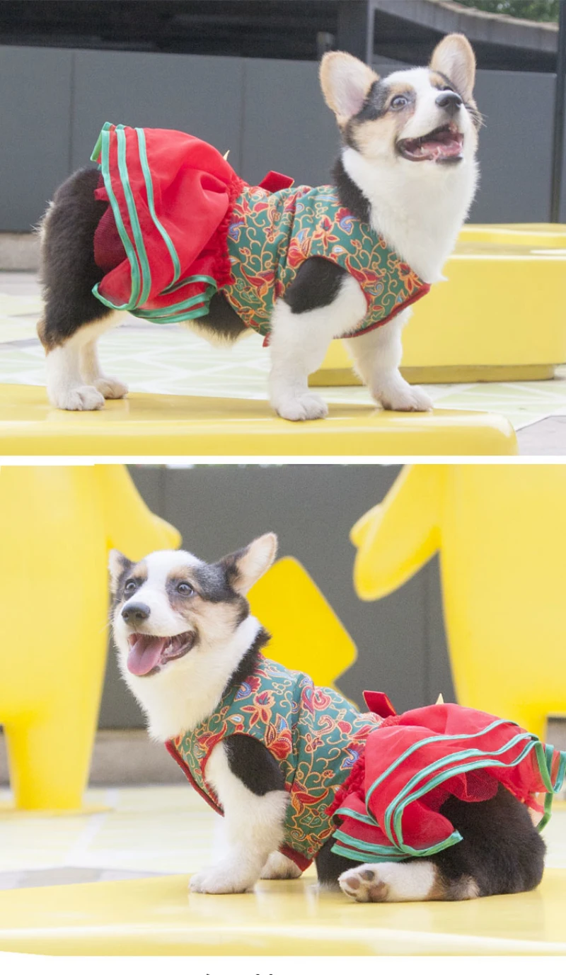 Летняя одежда для собак собака платье Пудель Бишон Поморское шнауцер собака корги Костюмы жилет с пачкой юбка Шиба ину костюм платья