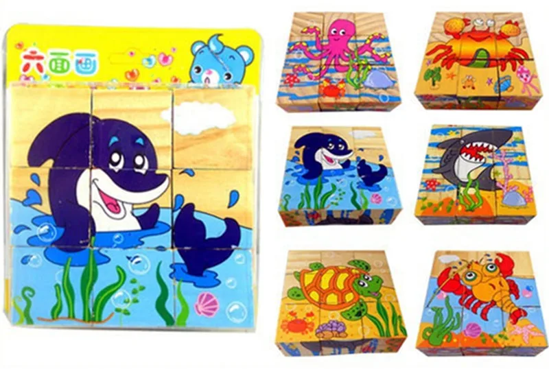 1_sea animal