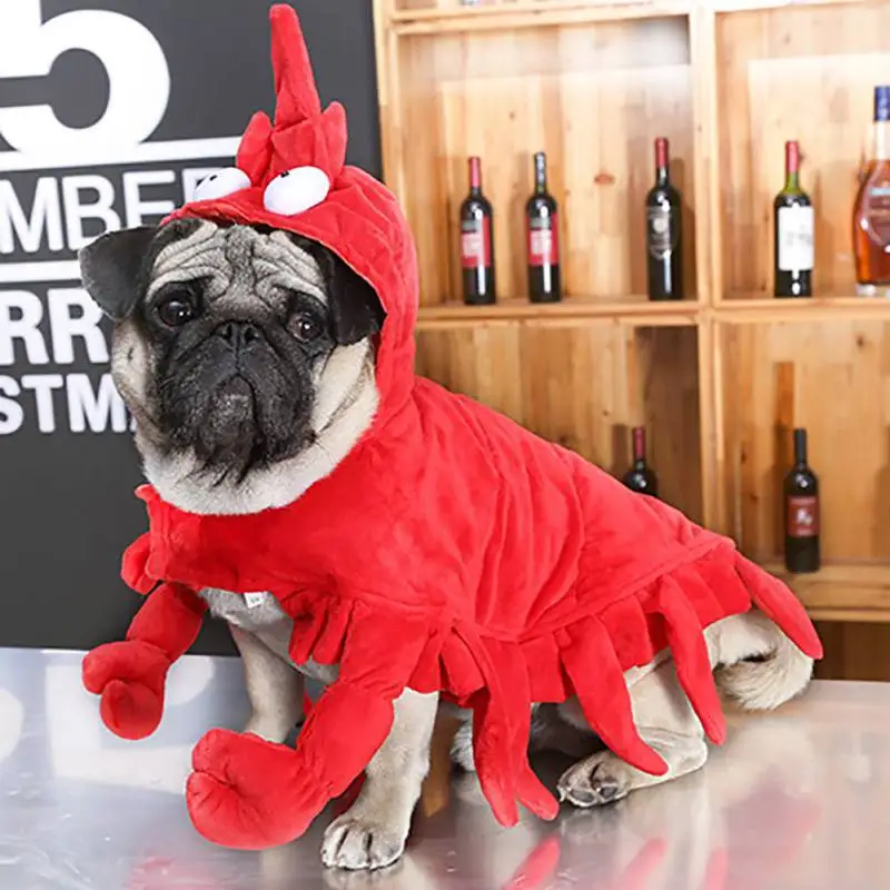 

Dog Cat Clothes Puppy Cat Interesting Cosplay Costume Lobster Shape Funny Performance Costume Shrimp Design Dog Coat For Party