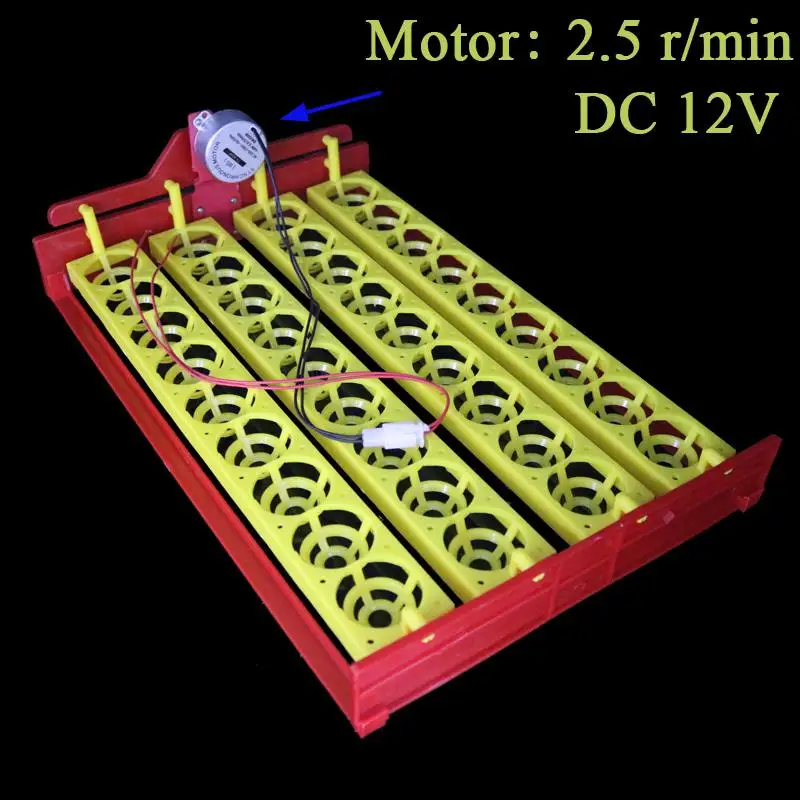 36 яиц инкубатор автоматический поворот яиц лоток инкубационный эксперимент учебное оборудование 4*9 отверстий - Цвет: DC12V