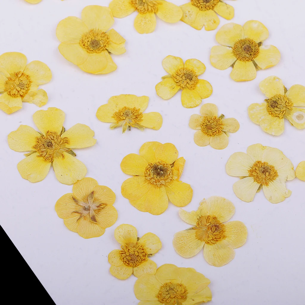 Pack of 50pcs Natural Dried Flower Real Flower Mixed For DIY Resin Ornament Craft Card Making Scrapbooking Embellishments