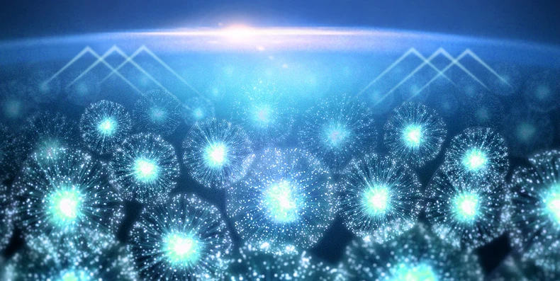 2661428692_131455853