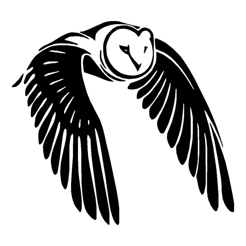 HTB1kmJyLXXXXXbsaXXXq6xXFXXX1