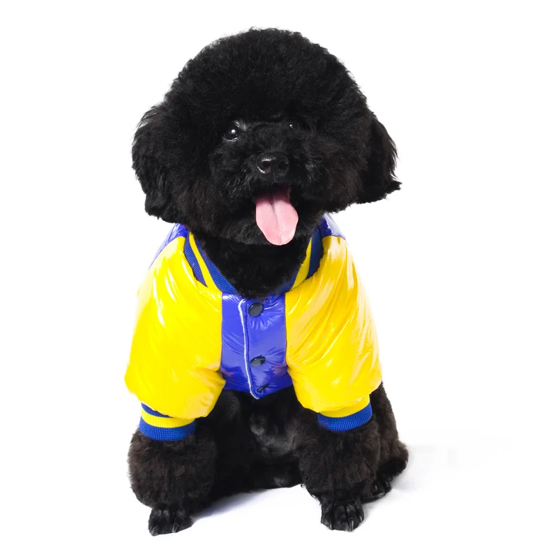 8 chihuahua clothes 