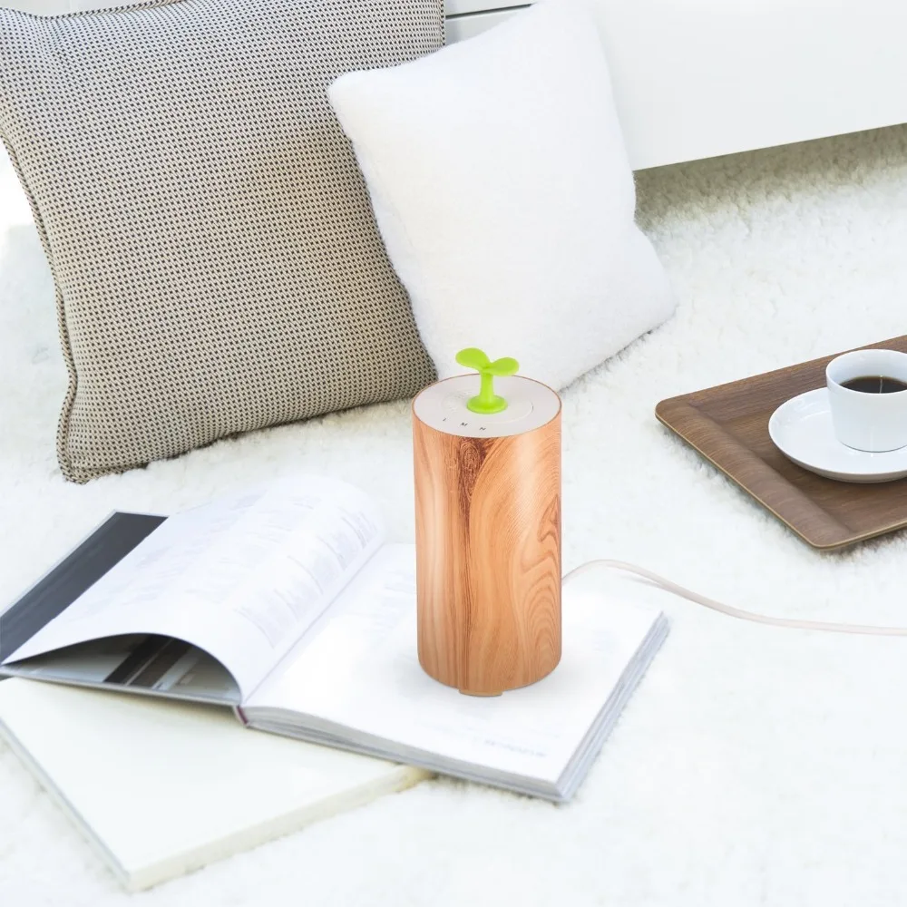 diffuser oil (9)