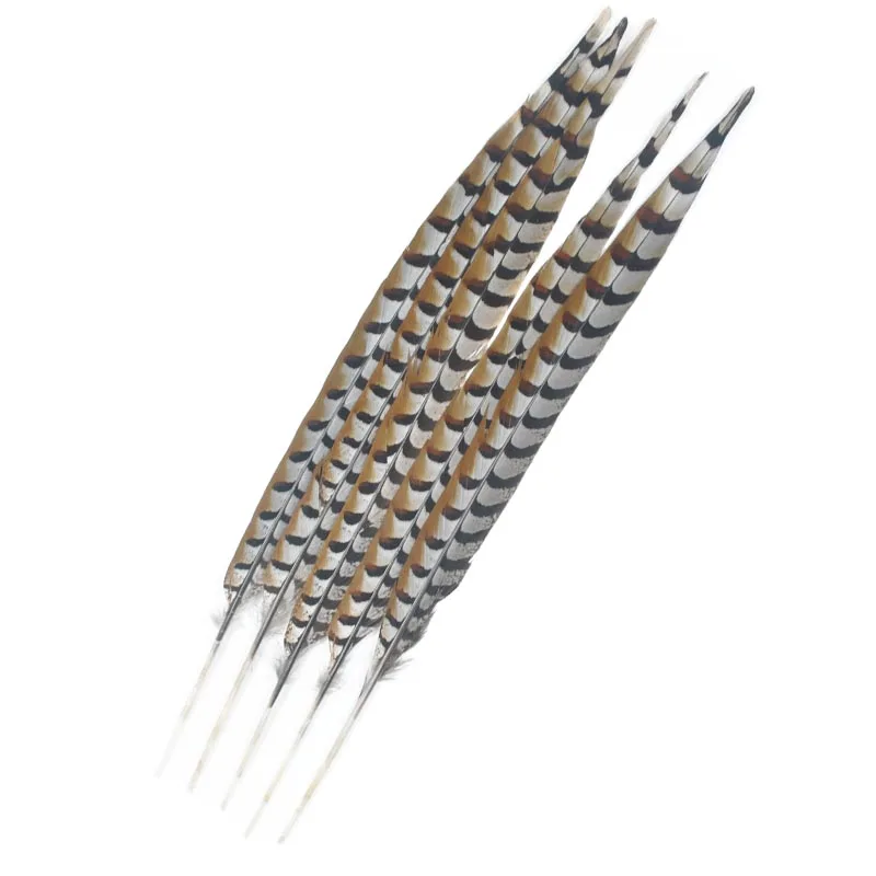 

Fashion natural 50-60 cm / 20-24 inch natural Reeves Venery pheasant tail feathers for carnival design and decoration