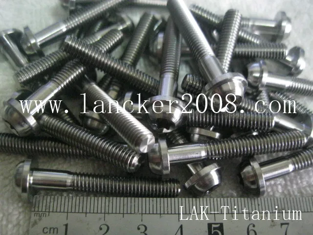 

M6x40 Gr5 Trox/Hexalobular socket pan head with flanged screw/bolts for Motor/Car