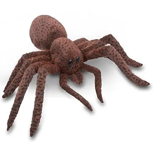 spider soft toy