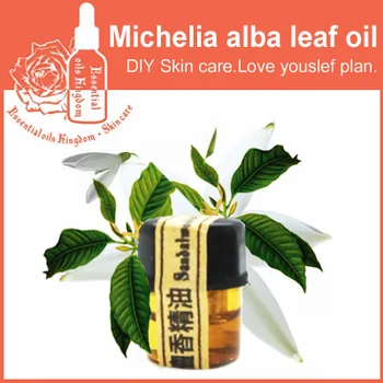 

100% pure plant essential oils White orchid leaf oil 2ml China Michelia alba leaf oil Prynne leaves
