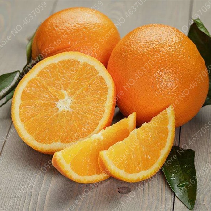 Cheap 100 pcs/ bag Edible Oranges Fruit Mandarin Bonsai Tree Citrus Pots Plants Mini Garden Juicy Sweet Garden Orange Sementes