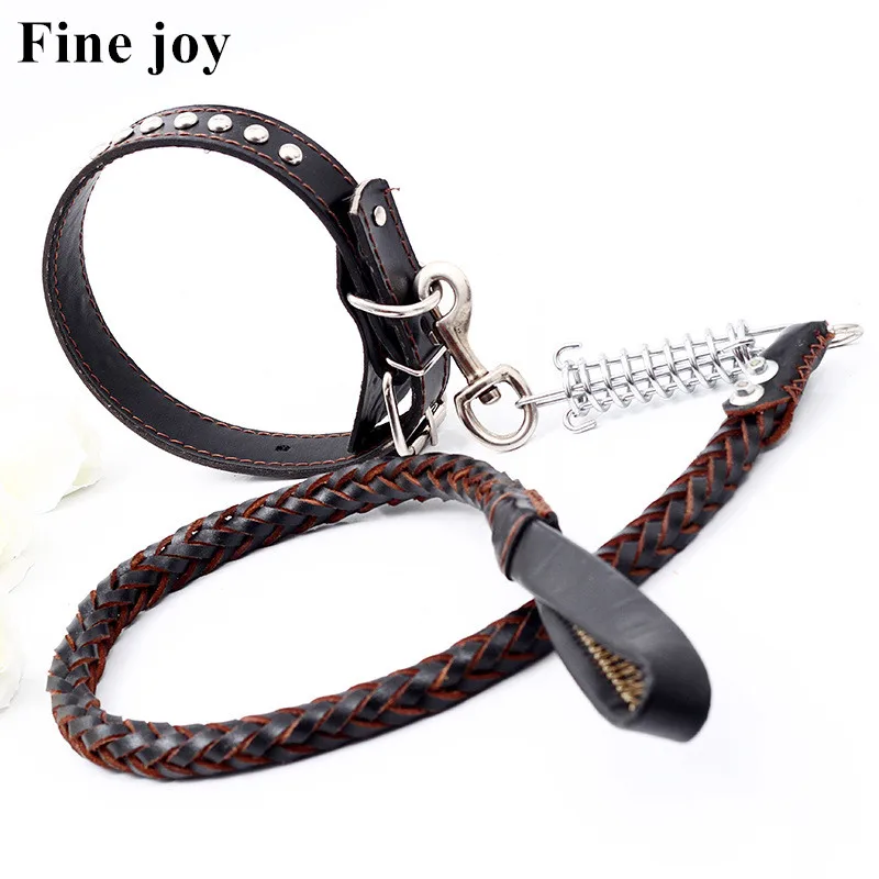 Fine joy Pet Cat Dog Basic Leashes Collars Leather Collar Iron Leash