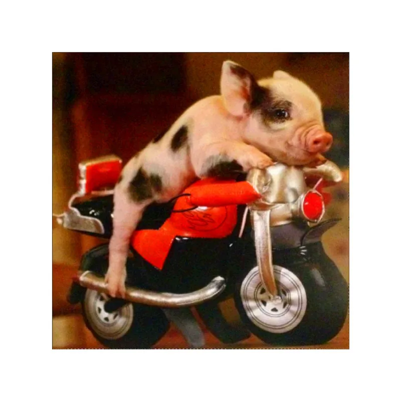 

Omni-directional / round diamond 5D DIY diamond painting "naughty Pig" embroidery cross stitch mosaic home decoration gift