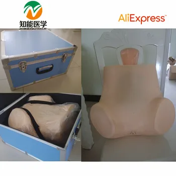 

BIX-FL Advanced Gynecological Examination Training Simulator MQ069