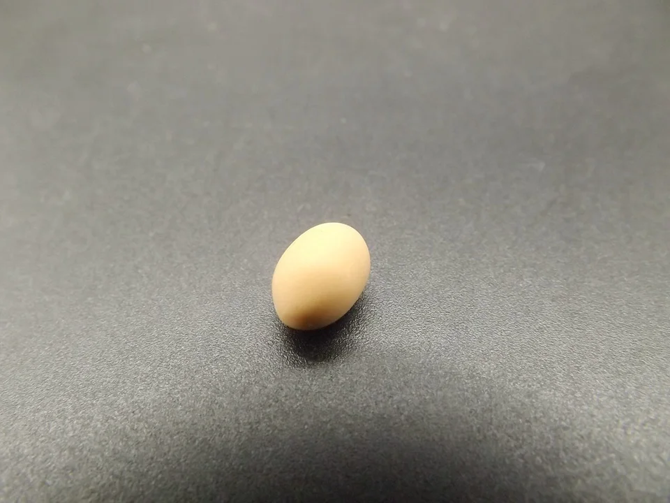 Tiny-A025Egg (8)