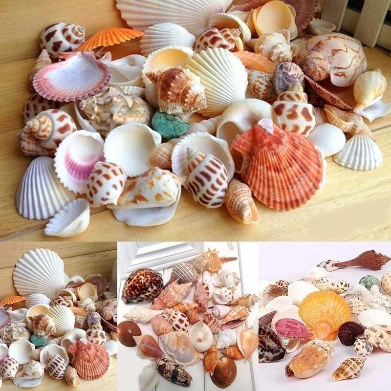 30 шт./пакет Mix Аквариум Пляж морской DIY ракушки смешанные россыпью прибл. 100 г