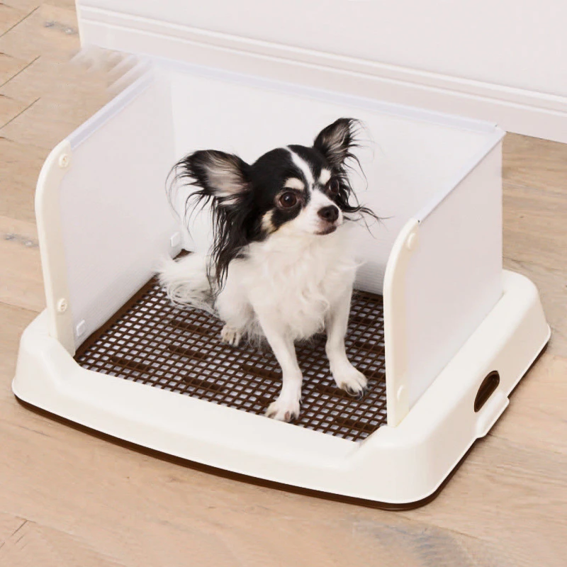 puppy potty training tray